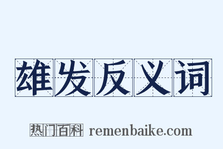 雄发反义词是什么意思的图片